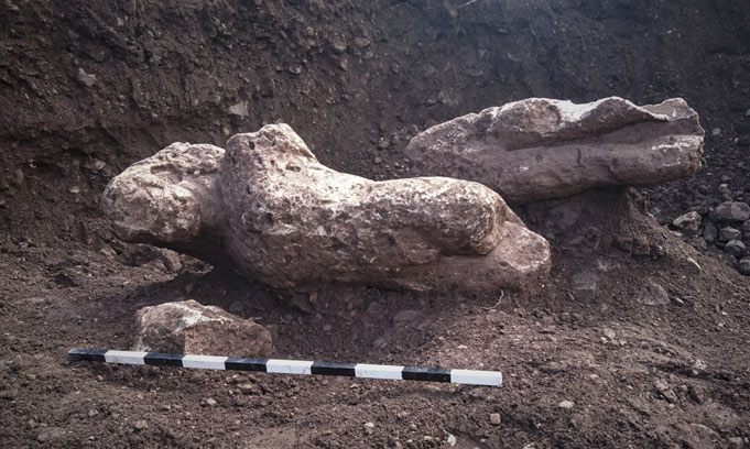Фермер в поле откопал фрагмент древней статуи (фото)