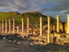 Куриные кости пролили свет на точную дату разрушения греческого города