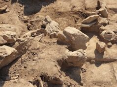 В ходе раскопок в Филиппах найдена впечатляющая статуя Геракла