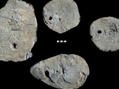 Минойские слитки бронзового века — свидетельство древних торговых связей